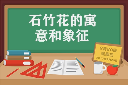 石竹花的寓意和象征意义（石竹花的花语及特点）