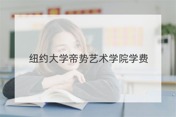 纽约大学帝势艺术学院学费