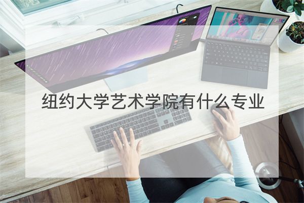 纽约大学艺术学院有什么专业