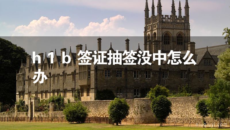 h1b签证抽签没中怎么办