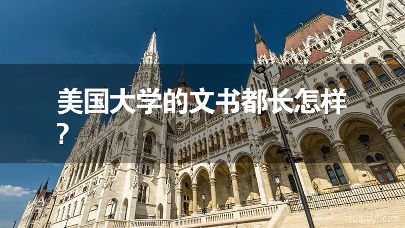美国大学的文书都长怎样?