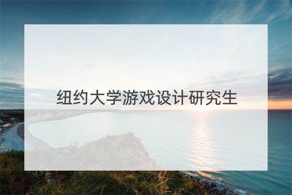 纽约大学游戏设计研究生