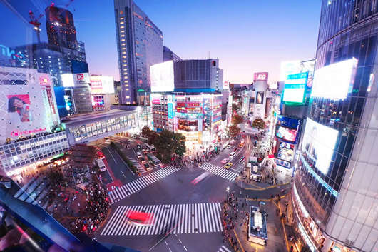 日本最新入境政策2024,日本旅行最关心的问题 日本最新入境政策2024,日本旅行最关心的问题