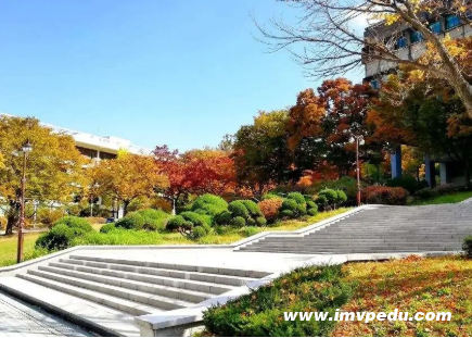 学音乐韩国留学哪所学校好？重磅推荐