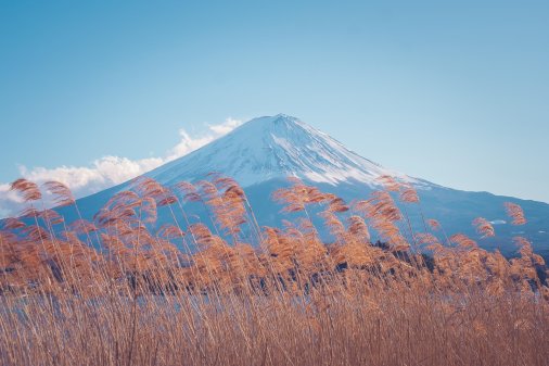 日本置业移民,在日本买房可以移民吗 日本置业移民,在日本买房可以移民吗