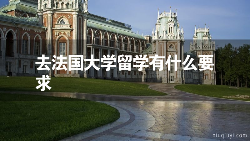 去法国大学留学有什么要求