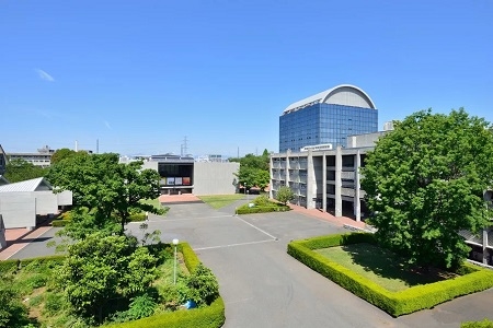 2024日本东京美术大学排名