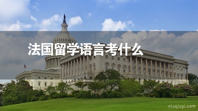 法国留学语言考什么