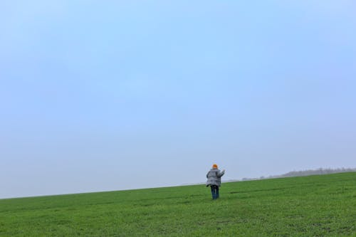 新加坡钢琴专业研究生留学申请流程-224