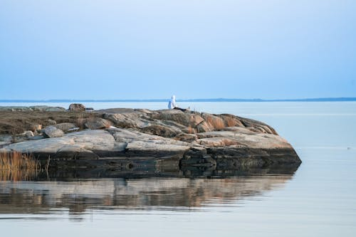 新西兰动画专业研究生留学有哪些条件-12